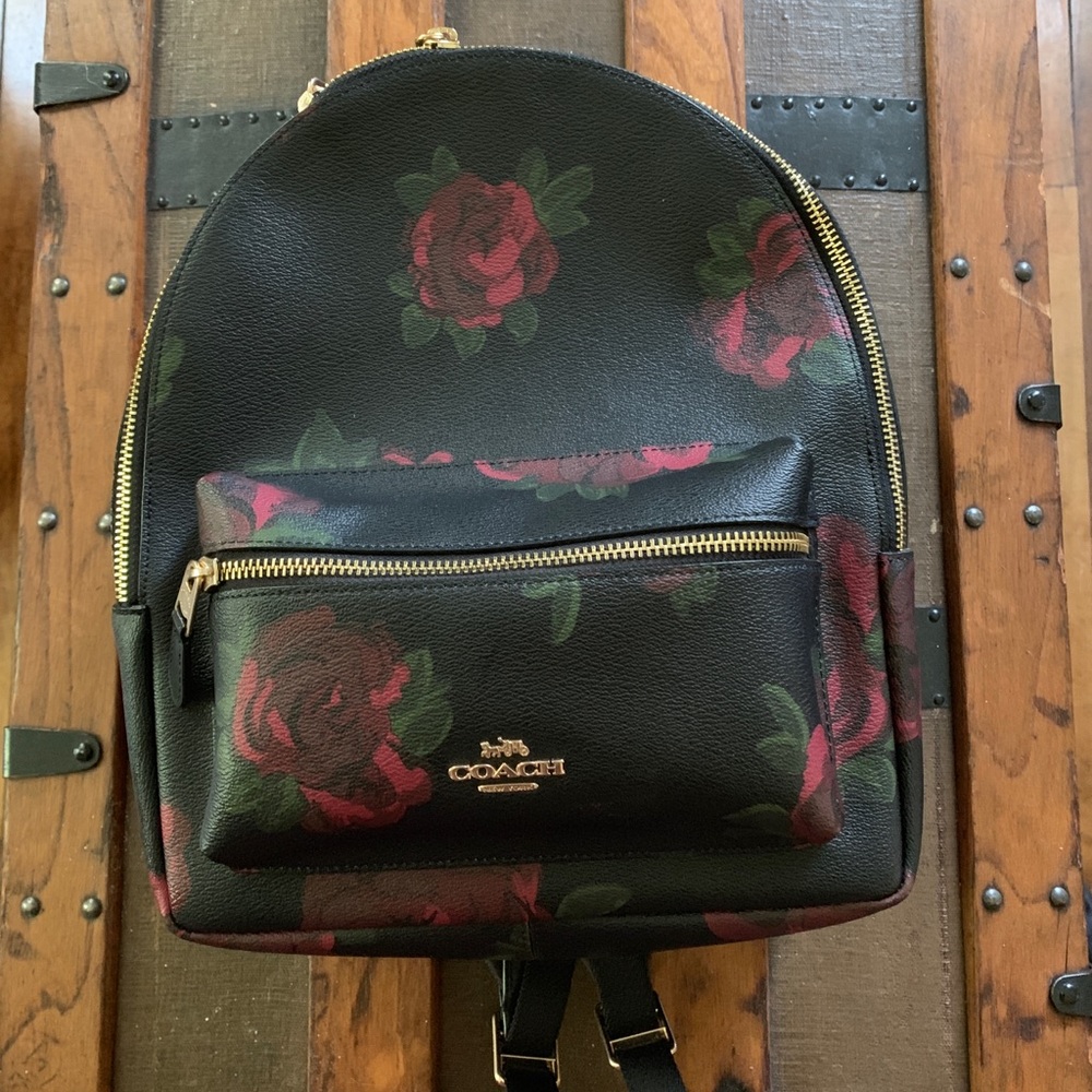 Coach Leather Backpack - Picture 1 of 4